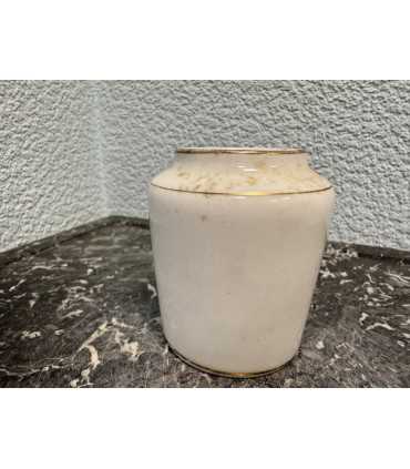 Горчичница