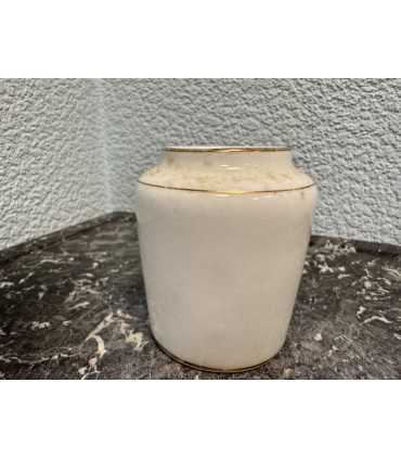 Горчичница