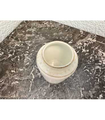 Горчичница