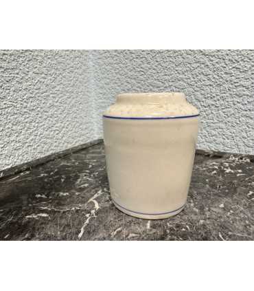 Горчичница