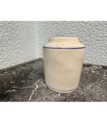 Горчичница