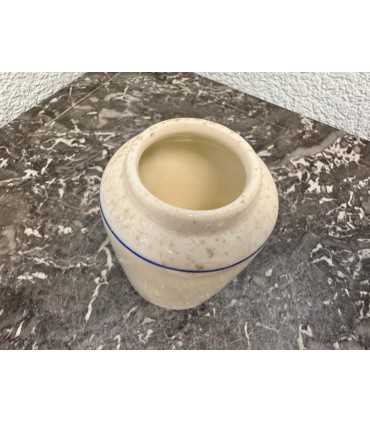 Горчичница