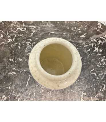 Горчичница