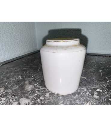 Горчичница