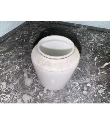 Горчичница