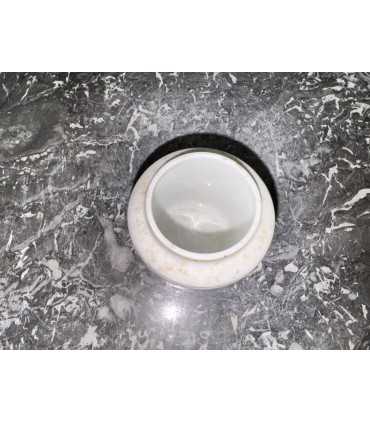 Горчичница