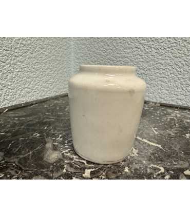 Горчичница