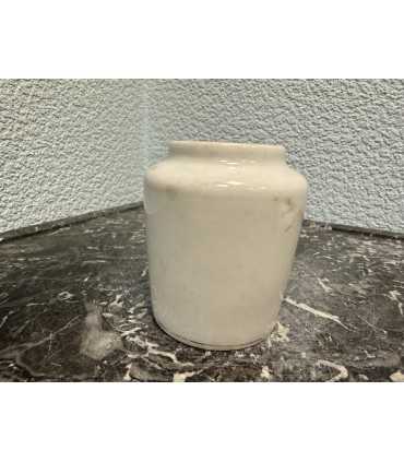 Горчичница