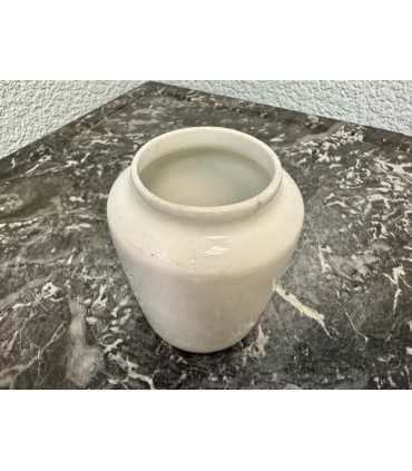 Горчичница