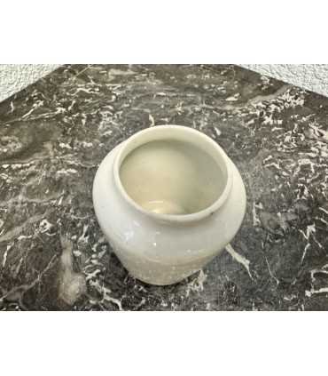 Горчичница