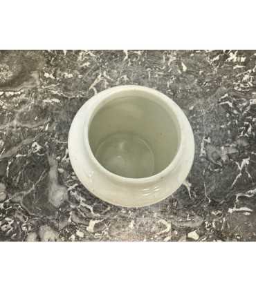 Горчичница