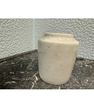 Горчичница