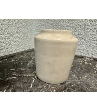 Горчичница