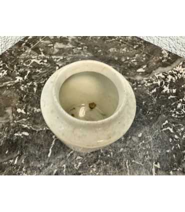 Горчичница