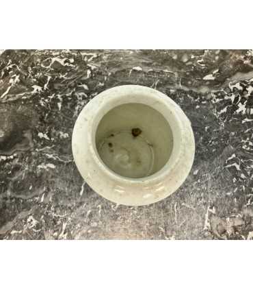 Горчичница