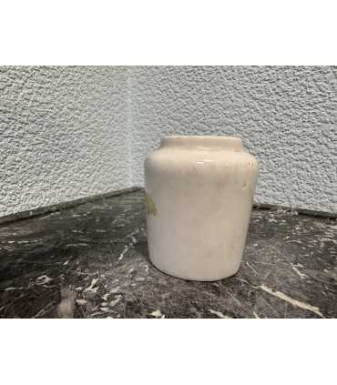 Горчичница