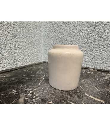 Горчичница