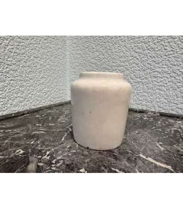 Горчичница