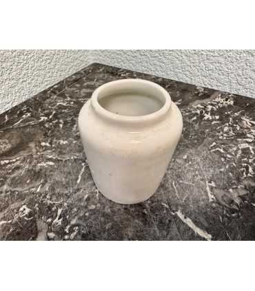 Горчичница