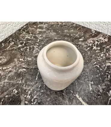 Горчичница