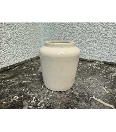 Горчичница