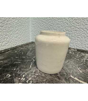 Горчичница