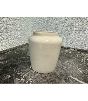 Горчичница