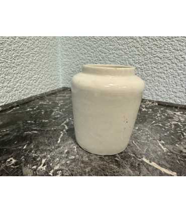 Горчичница