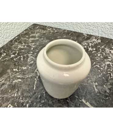 Горчичница