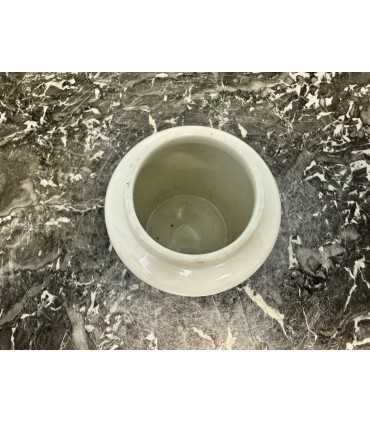 Горчичница