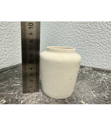 Горчичница