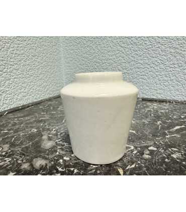 Горчичница