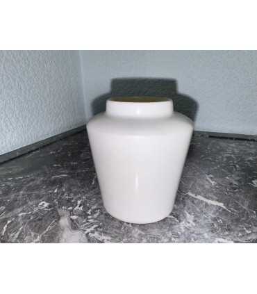 Горчичница