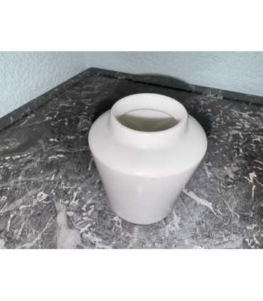 Горчичница