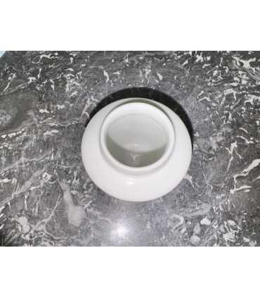 Горчичница