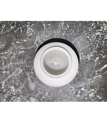 Горчичница