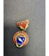 Знак "Чемпион Областной совет"