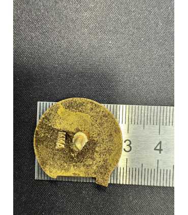 Знак "Ан Ссср Академия Наук, институт Акустики "