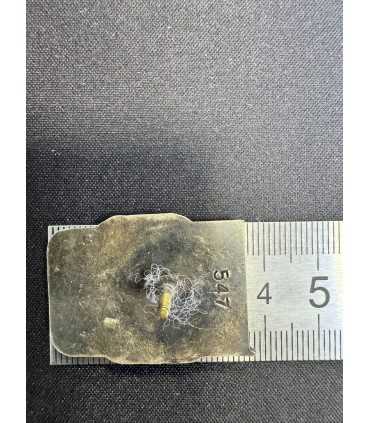 Знак "Заслуженный тренер УзССР"