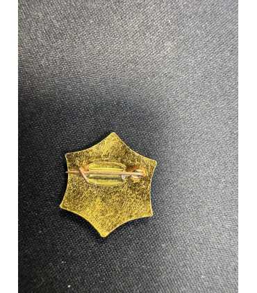 Знак "Чемпион ГГПИ "