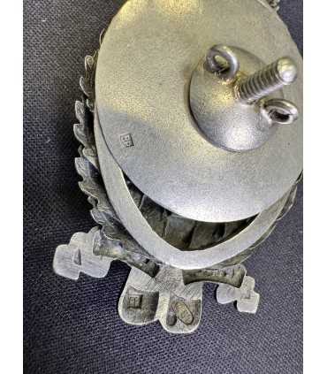 Знак в память 50-летия земских учреждений.