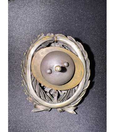 Нагрудный знак