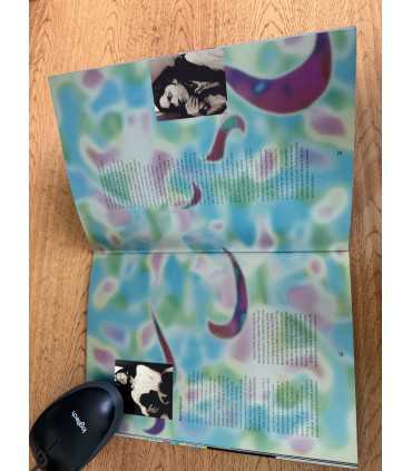 Журнал The Road to Graceland