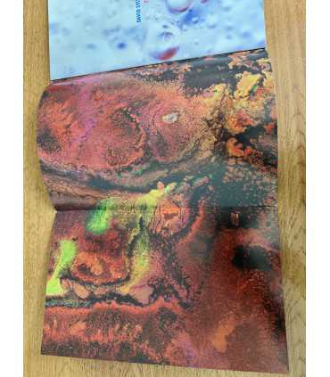 Журнал Robert Fripp the first day David Sylvian