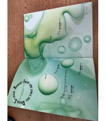 Журнал Robert Fripp the first day David Sylvian