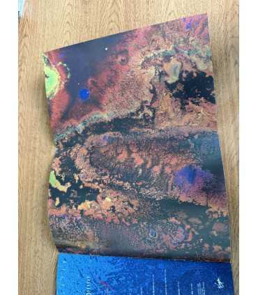 Журнал Robert Fripp the first day David Sylvian