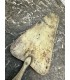 Сервировочный нож для рыбы