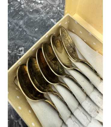 Набор из 6 ложек