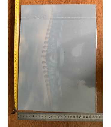 3D картинка "Зенит"