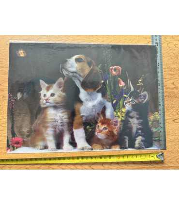3D картинка "Коты и пес"